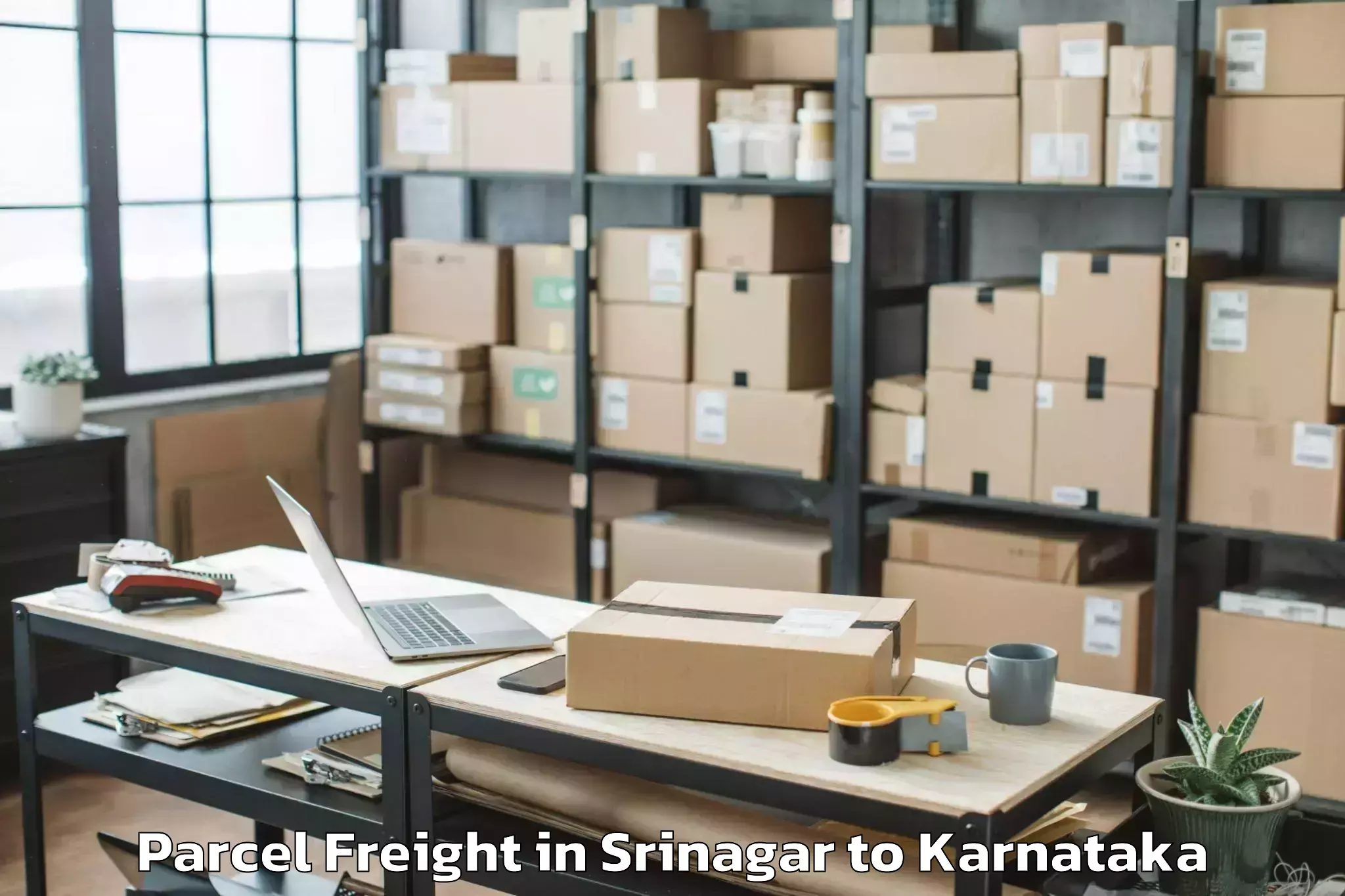 Book Srinagar to Harpanahalli Parcel Freight Online